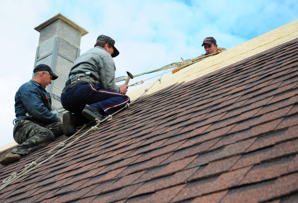 Best Storm Damage Roof Repair  in Labelle, FL
